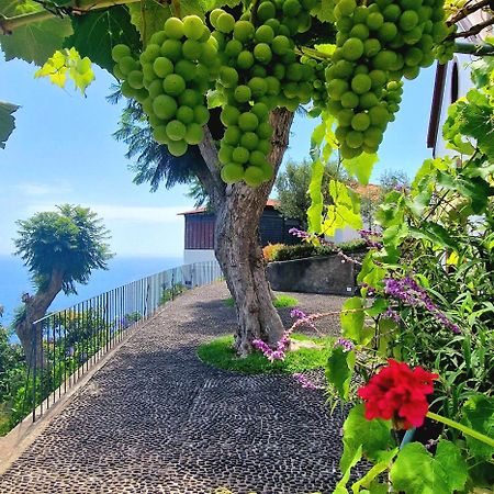 Torre Bella Gardens Villa Arco da Calheta  Exterior foto