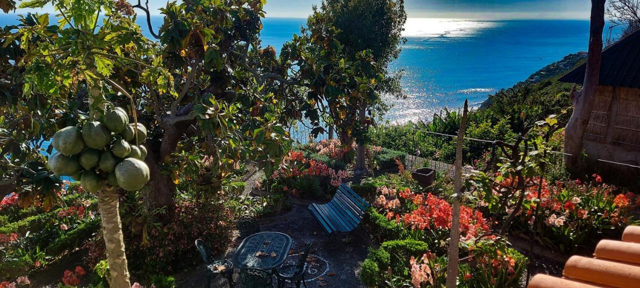 Torre Bella Gardens Villa Arco da Calheta  Exterior foto