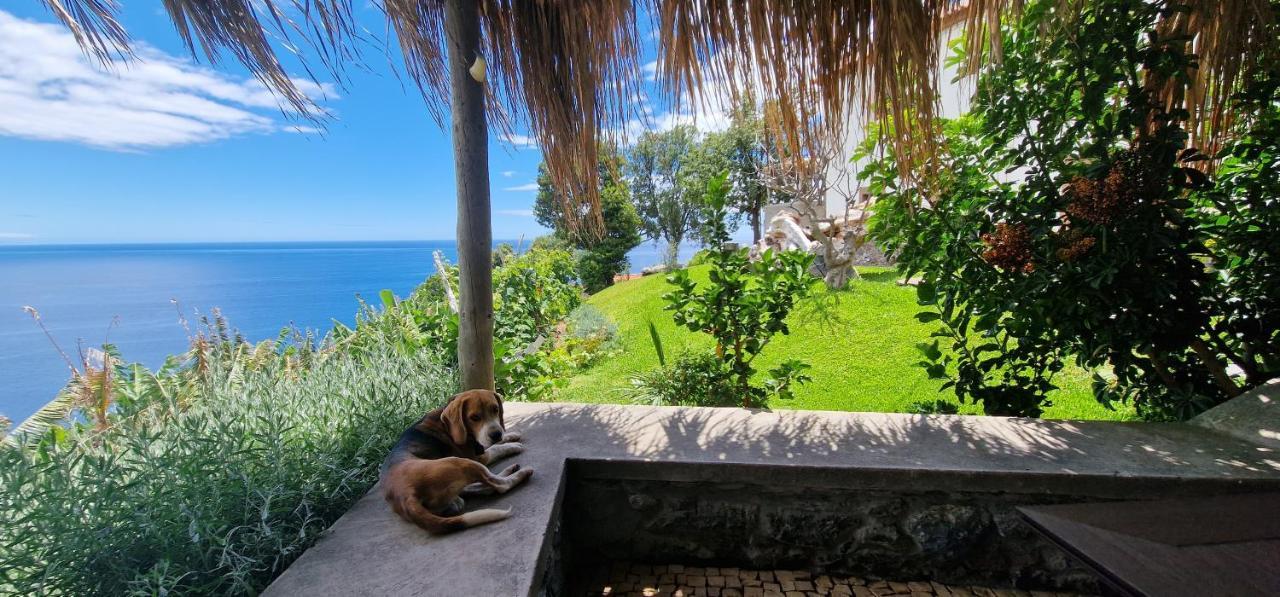 Torre Bella Gardens Villa Arco da Calheta  Exterior foto