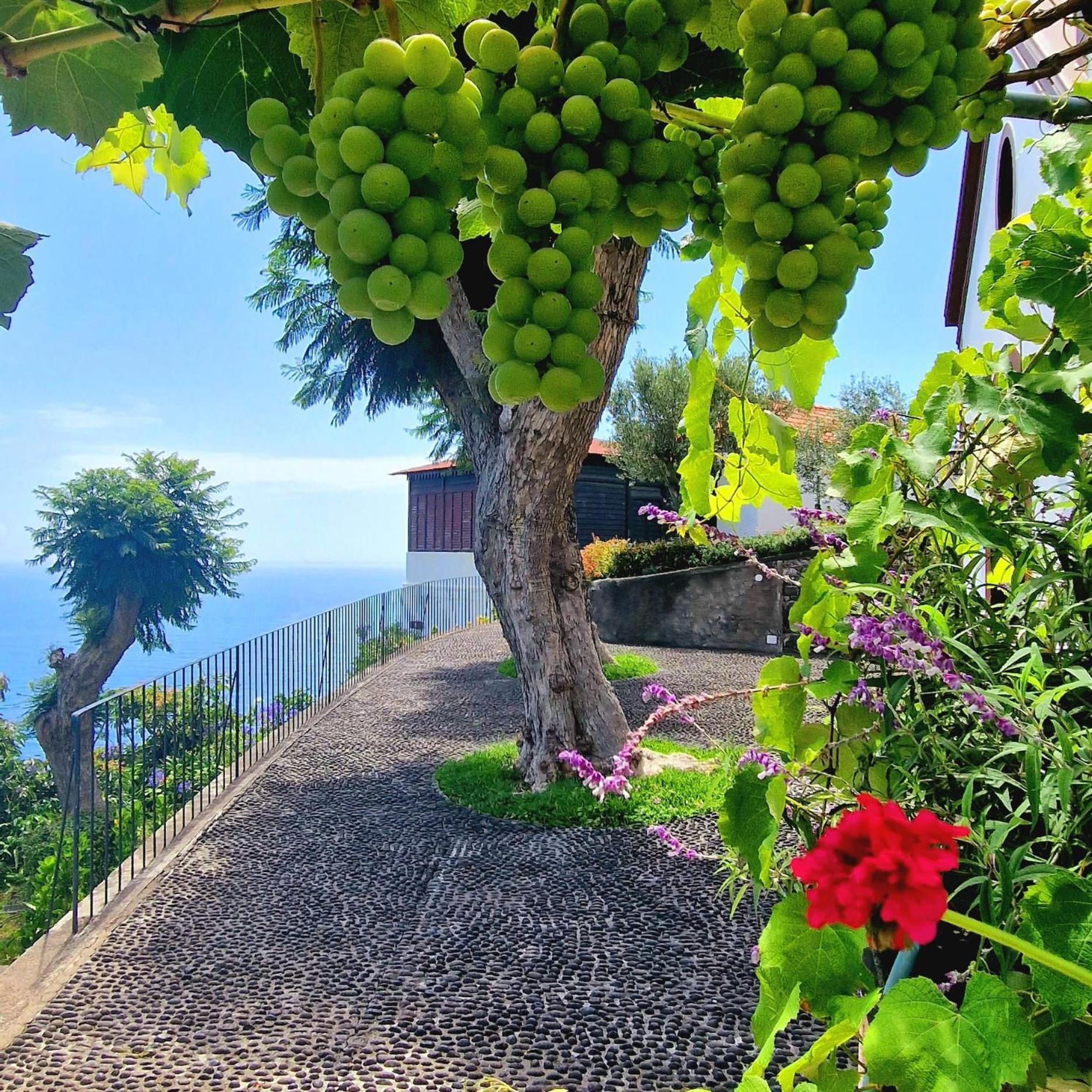 Torre Bella Gardens Villa Arco da Calheta  Exterior foto