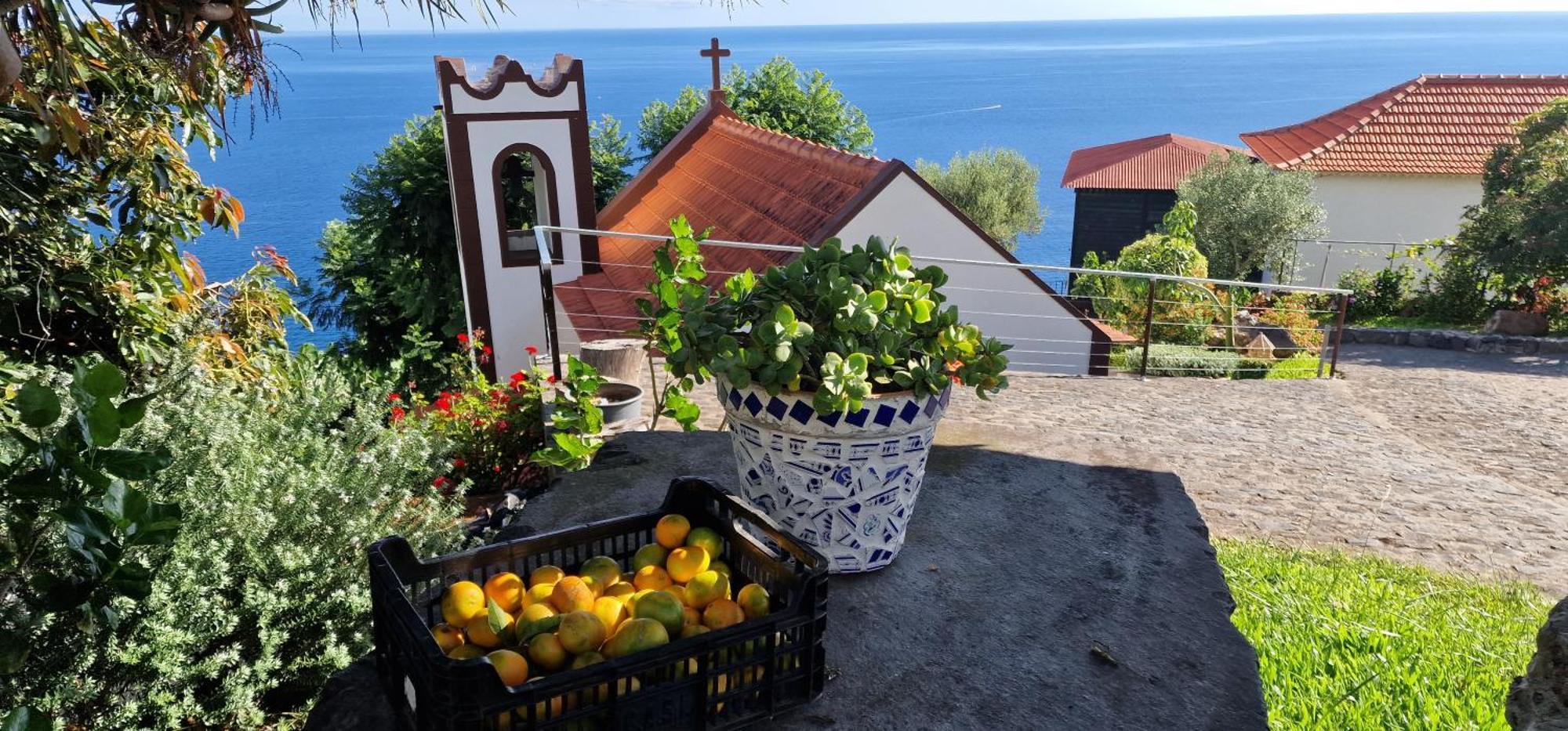 Torre Bella Gardens Villa Arco da Calheta  Exterior foto