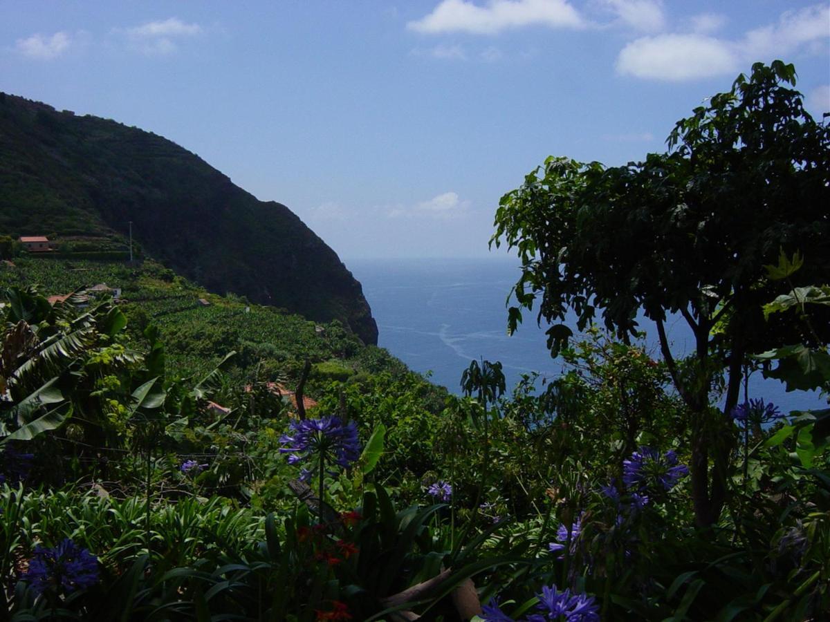 Torre Bella Gardens Villa Arco da Calheta  Exterior foto